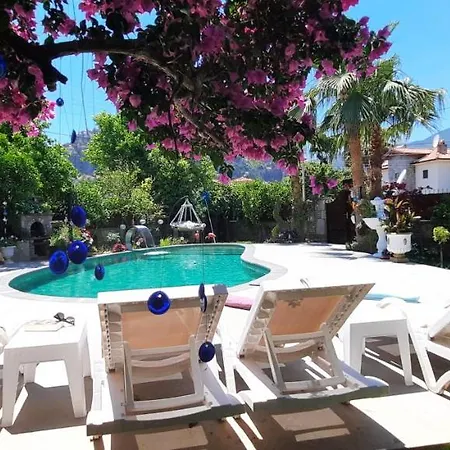 D&l Villa Ortaca (Mugla)